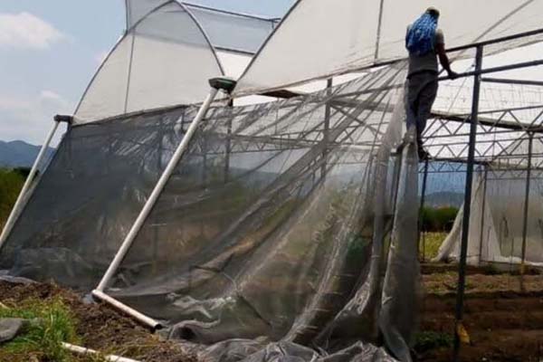 NPH Mexico: Food Production Recovers from Storm Damage